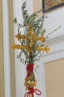 IMG_0312