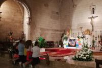 Palma04