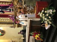 IMG_1954