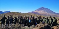 IMG_20181212_113837