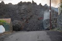 ume-volcan-la-palma-2-m