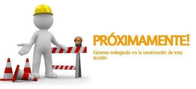 pagina en construcción ES copia