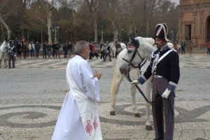 Bendición de caballos y perros policiales en la festividad de San Antonio Abad en Sevilla