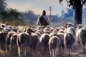 Homilía Dominical del Arzobispo Castrense. Domingo 7 de mayo de 2017
