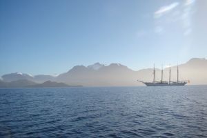 Entre Fiordos, Ballenas y Glaciares