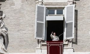 Palabras del Papa antes del Ángelus